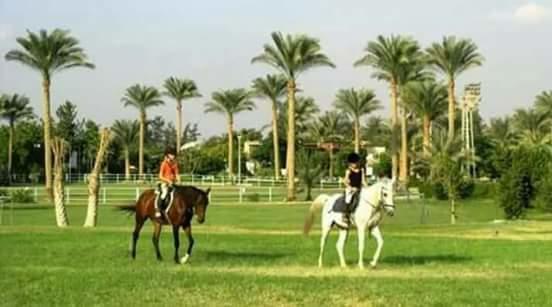 Sakkara Country Club Hotel El Hawamdeya Exterior foto